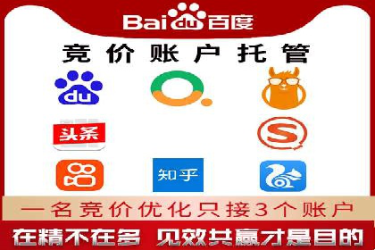 SEM代运营托管公司成功案例分析